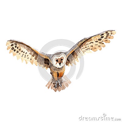 Sky bird owl in a wildlife by vector style isolated. Vector Illustration