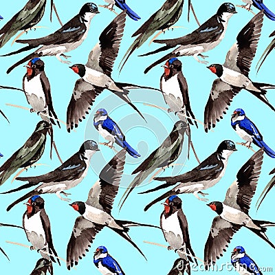 Sky bird Swallows pattern in a wildlife by watercolor style. Stock Photo