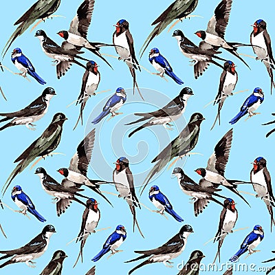 Sky bird Swallows pattern in a wildlife by watercolor style. Stock Photo