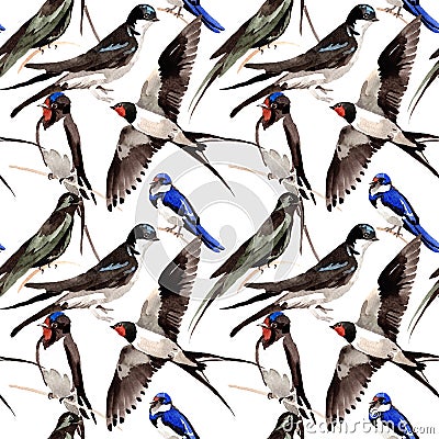 Sky bird Swallows pattern in a wildlife by watercolor style. Stock Photo