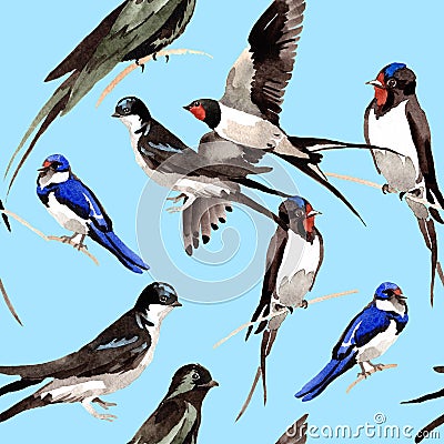 Sky bird Swallows pattern in a wildlife by watercolor style. Stock Photo