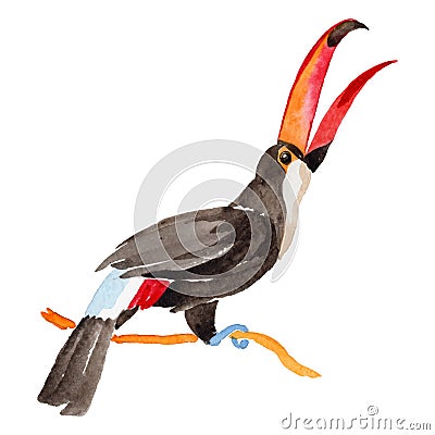 Sky bird toucan in a wildlife by vector style isolated. Vector Illustration