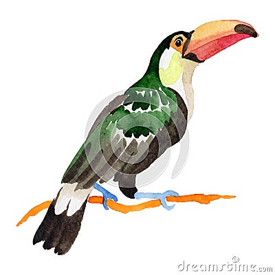 Sky bird toucan in a wildlife by vector style isolated. Vector Illustration