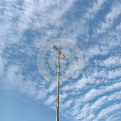 Sky blues in the sunmer Stock Photo