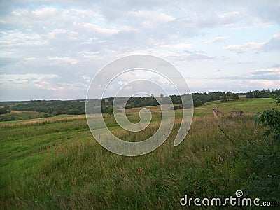 Sky cloud forest hils Stock Photo