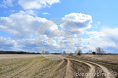 Sky, clouds. Boundless field. Winding road. Forest in the distance. Rural view of nature Stock Photo