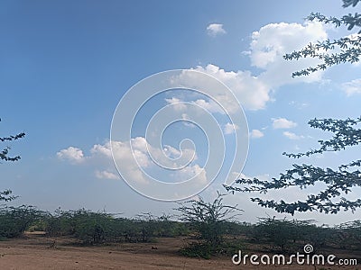 Sky with clouds and green tree feel like heaven Stock Photo