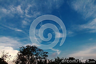 The sky is cloudy like a bright background duck and tree shadows Stock Photo