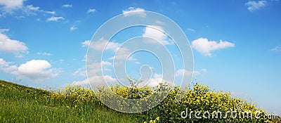 Sky And Grass - wide view Stock Photo