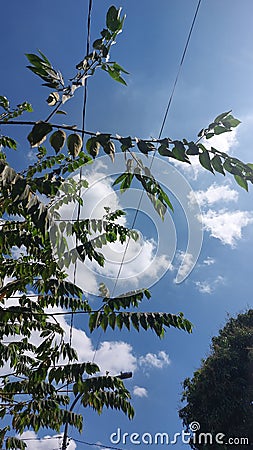 Sky sun morning blue cloud view aesthetic shinning wind Stock Photo