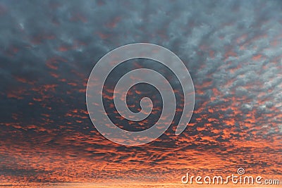 Sky with tiny fleecy clouds and sunset afterglow Stock Photo