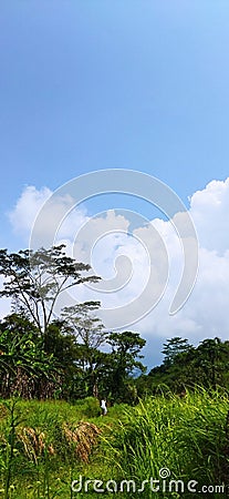 Sky and tree in a round garden Stock Photo