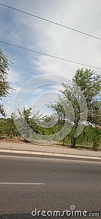 Sky, trees, clay field in the background mountains, landscape. East. Stock Photo