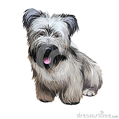 Skye Terrier lap dog tiny pet of small size digital art. Puppy looking in distance breeding domestic animal closeup Stock Photo