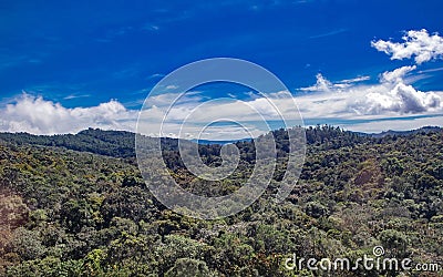 Skyline over green vegetation in the mountains of Medellin Stock Photo