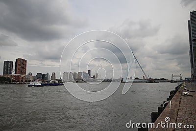 skyline of river Nieuwe maas in the middle of Rotterdam with the Erasmusbrug bridge with nickname the Swan Editorial Stock Photo