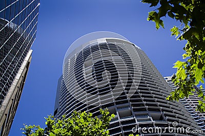 Skyscraper top leaves Stock Photo