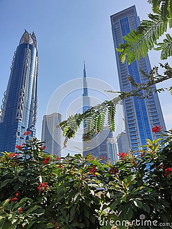 The skyscrapers appears behind the trees Editorial Stock Photo