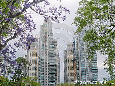 Skyscrapers in Puerto Madero neighborhood, Buenos Aires Stock Photo