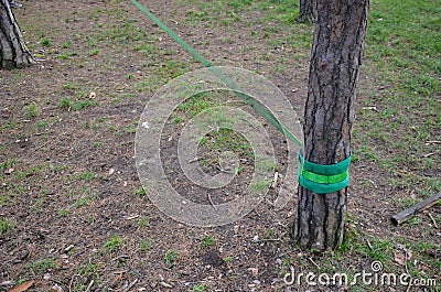 Slackline, or slack for short, is balancing, walking, and jumping on a strap attached between two points, such as trees. Unlike wa Stock Photo