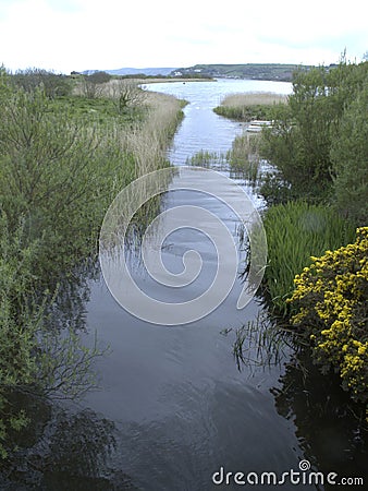 Slapton Ley Devon Stock Photo