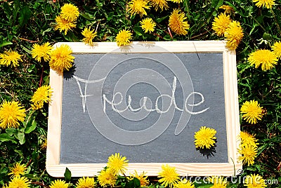 Slate with the letters Freude lying in the grass Stock Photo