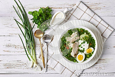 Slavic green sorrel soup with eggs, flat lay Stock Photo