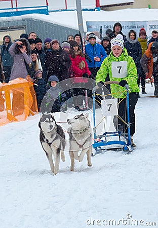 Sled Dog Race in Kharkiv, Ukraine Editorial Stock Photo