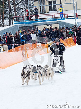 Sled Dog Race in Kharkiv, Ukraine Editorial Stock Photo
