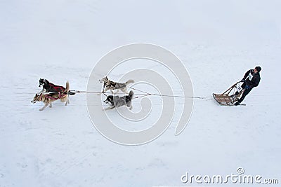 Sled Dog Race in Kharkiv, Ukraine Editorial Stock Photo