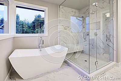 Sleek bathroom features freestanding bathtub Stock Photo