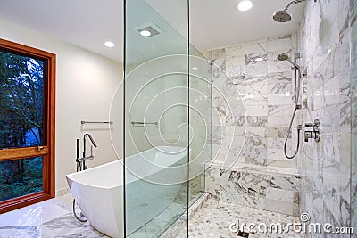 Sleek bathroom with freestanding bathtub and walk in shower Stock Photo