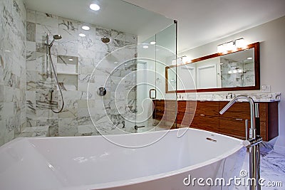 Sleek bathroom with freestanding bathtub and walk in shower Stock Photo