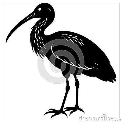 A sleek silhouette depicts an ibis bird, its graceful form captured in bold black and white lines. Stock Photo