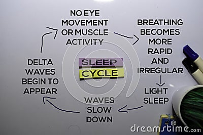 Sleep Cycle Method text with keywords isolated on white board background. Chart or mechanism concept Stock Photo