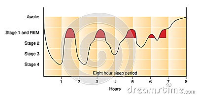 Sleep graph Stock Photo