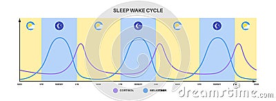 Sleep wake cycle Vector Illustration