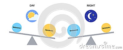 Sleep wake cycle Vector Illustration