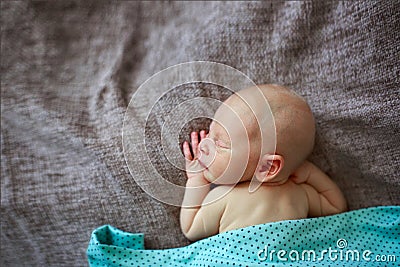 Sleeper newborn baby, gray background Stock Photo