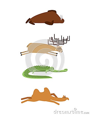 Sleeping animals set 1. Seal and moose. Crocodile and camel. wild animal sleeps. Sleepy beast Vector Illustration