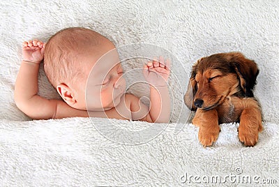 Sleeping baby and puppy Stock Photo