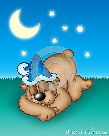 Sleeping bear Cartoon Illustration