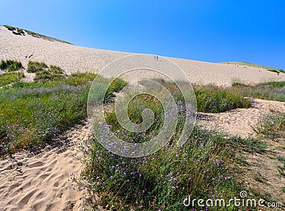 Sleeping Bear Dunes National Lakeshore Stock Photo