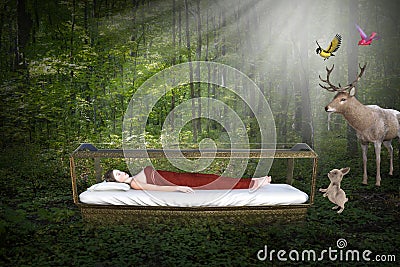 Sleeping Beauty, Fairy Tale, Fantasy, Nature Stock Photo