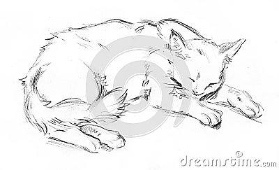 Sleeping cat Cartoon Illustration