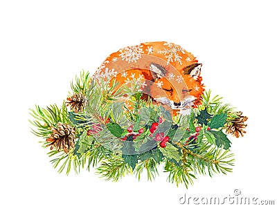 Sleeping fox in snow flakes. Spruce tree branches, christmas mistletoe. Watercolor Stock Photo