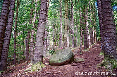 Sleeping Giant, Nounou Forest Reserve, Kauai, Hawaii, USA Stock Photo