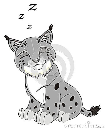Sleeping gray lynx and letters z Stock Photo