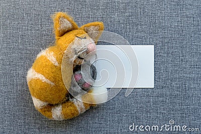 Sleeping, happy tomcat Stock Photo