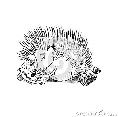 Sleeping hedgehog Cartoon Illustration